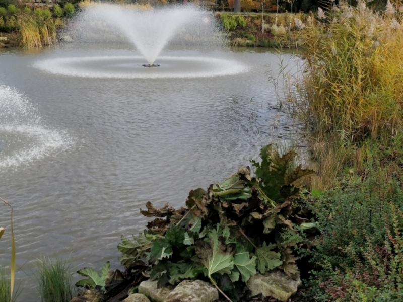 Aerating fountain supply and installation in Enfield London for Tottenham Hotspur Football Club