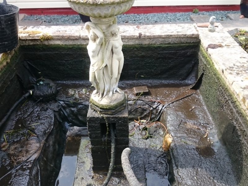 Pond clean in Clavering, Essex