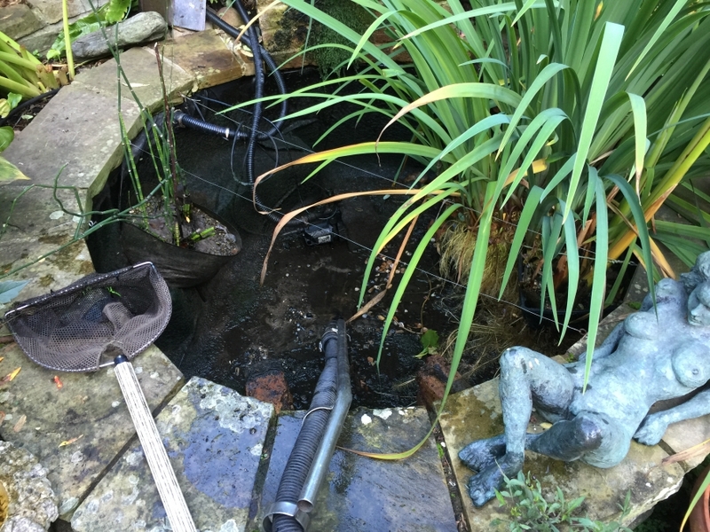 Small pond clean in Earls Court, London