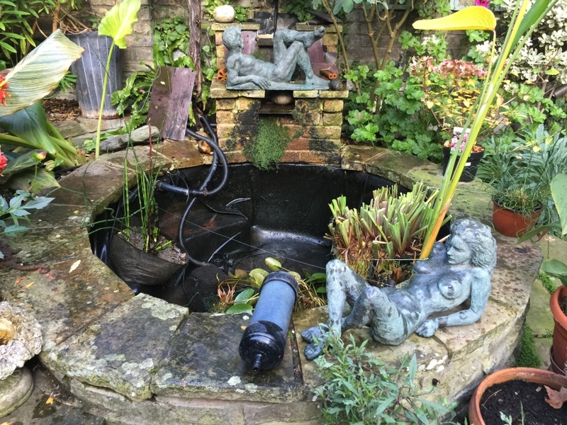 Small pond clean in Earls Court, London