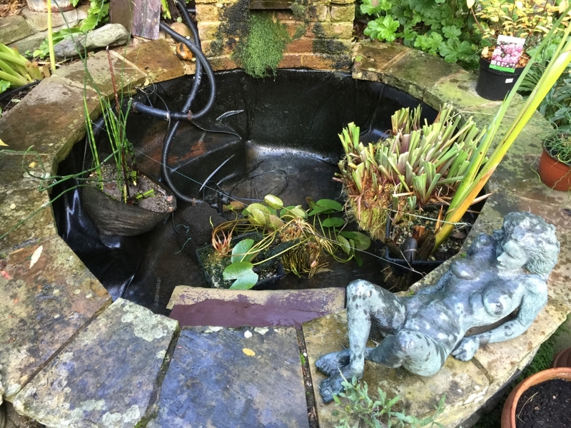 Small pond clean in Earls Court, London