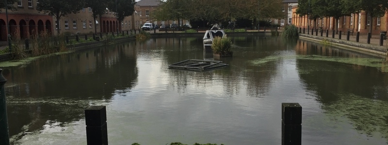 Enfield Island Village aquatic weed removal from canal and basin