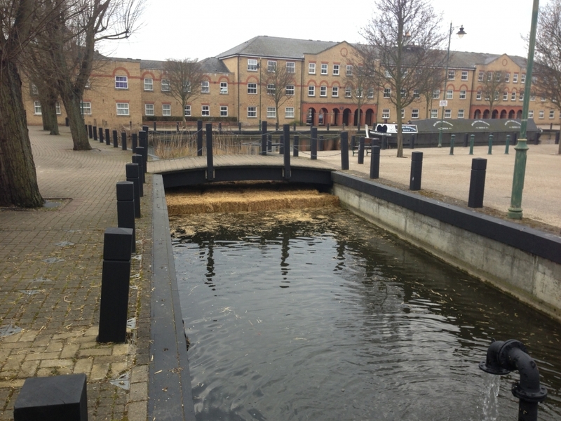 Enfield Island Village aquatic weed removal from canal and basin