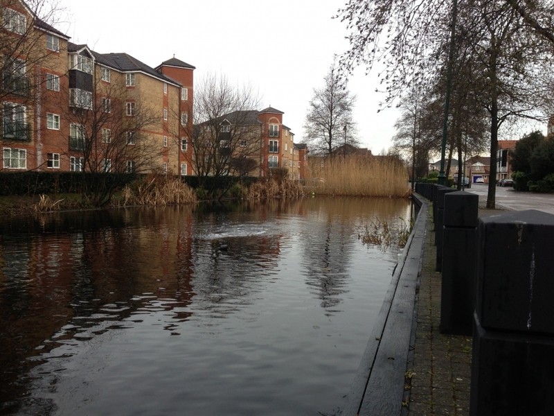 Enfield Island Village aquatic weed removal from canal and basin