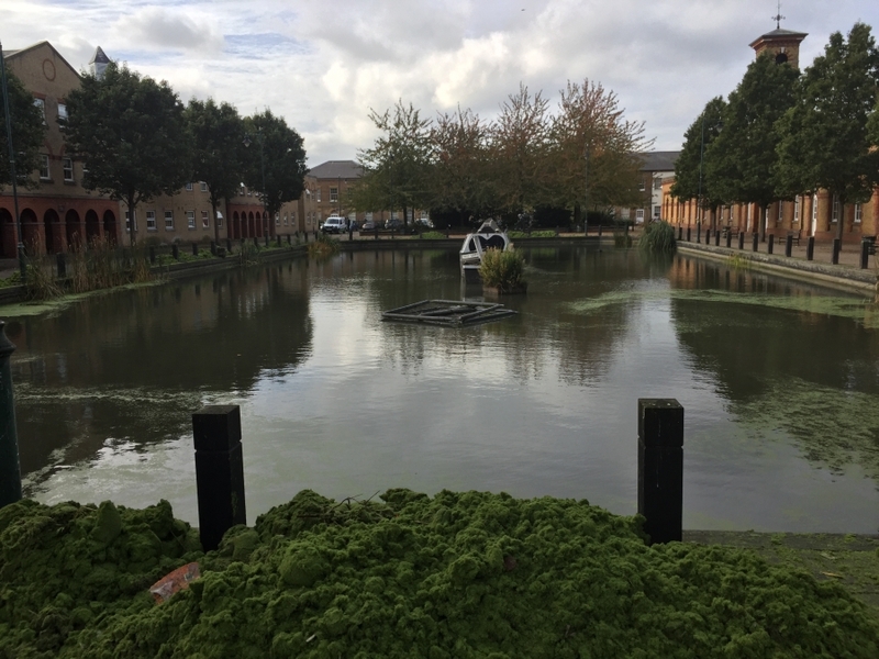 Enfield Island Village aquatic weed removal from canal and basin
