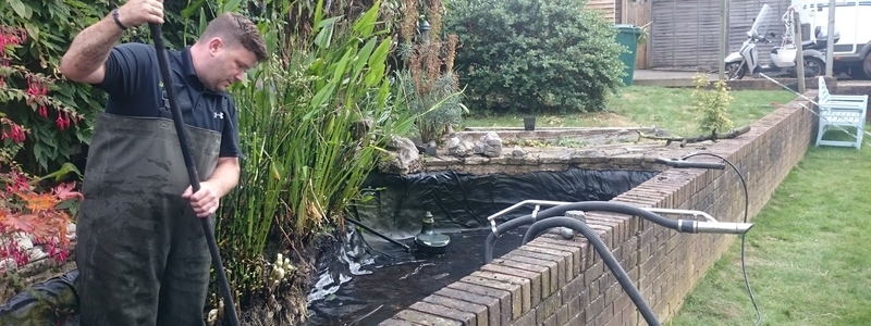 Garden pond cleaning in Hendon, London