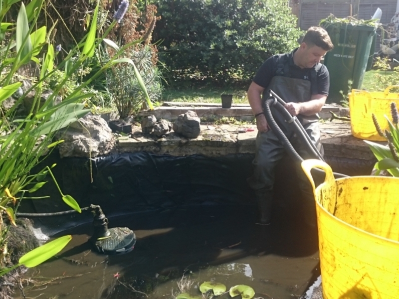 Garden pond cleaning in Hendon, London