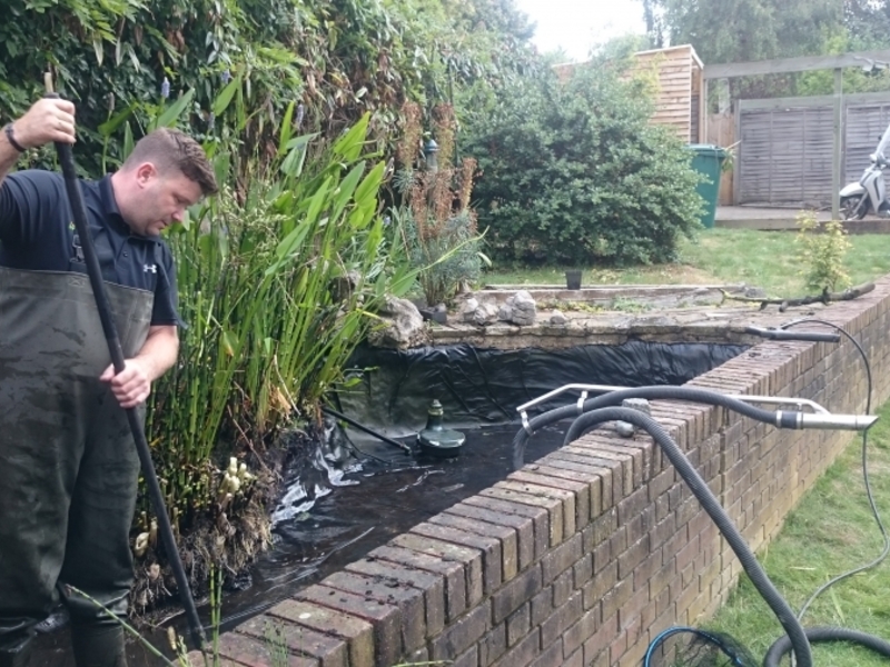 Garden pond cleaning in Hendon, London