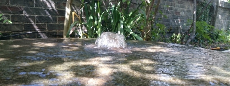 Garden waterfeature clean in Holloway, Islington, London