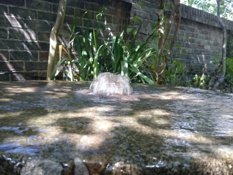 Garden waterfeature clean in Holloway, Islington, London