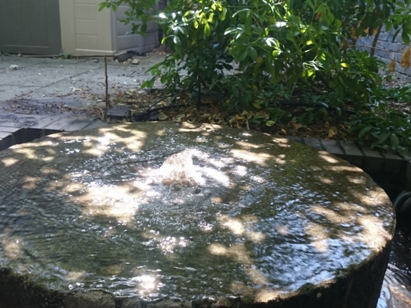 Garden waterfeature clean in Holloway, Islington, London