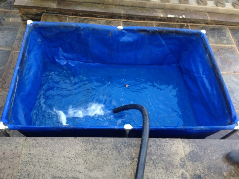 Raised pond clean in Hampstead, London