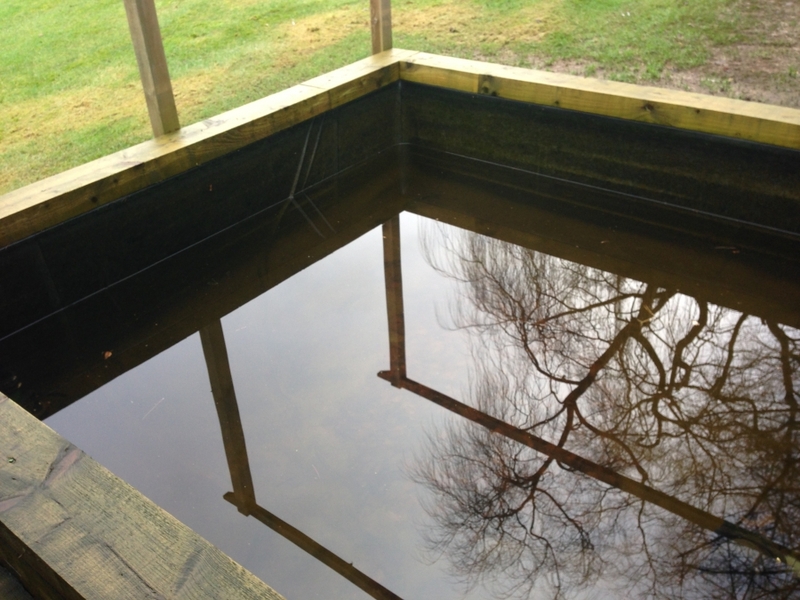 Raised pond clean in Hampstead, London