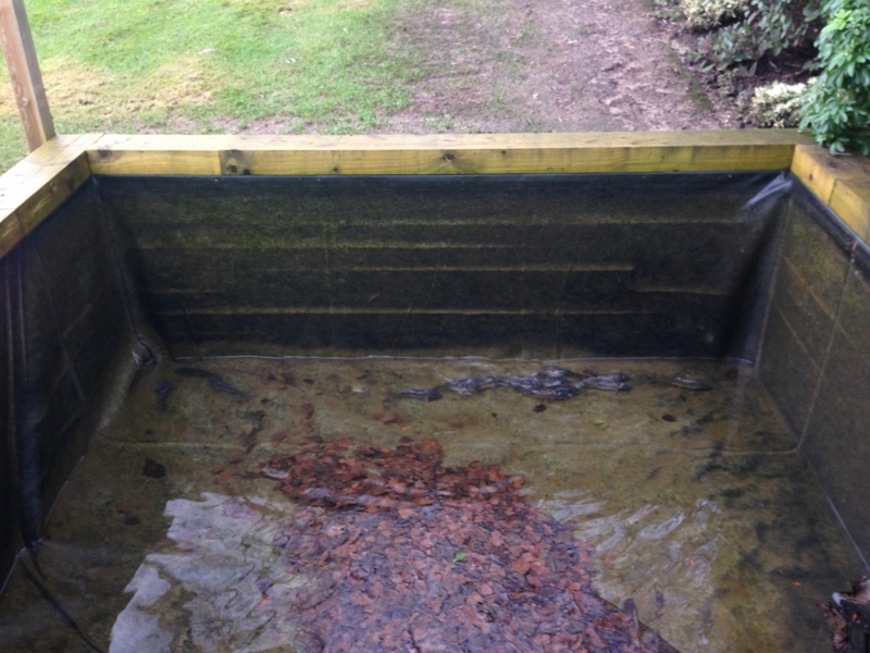 Raised pond clean in Hampstead, London