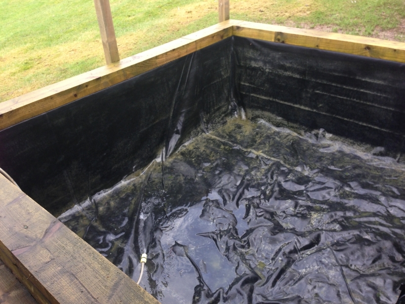 Raised pond clean in Hampstead, London