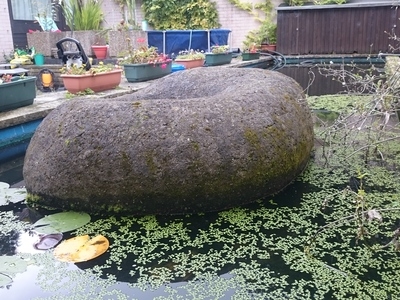 Pond clean in Thetford, Norfolk.