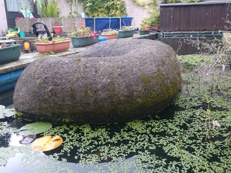 Pond clean in Thetford, Norfolk.