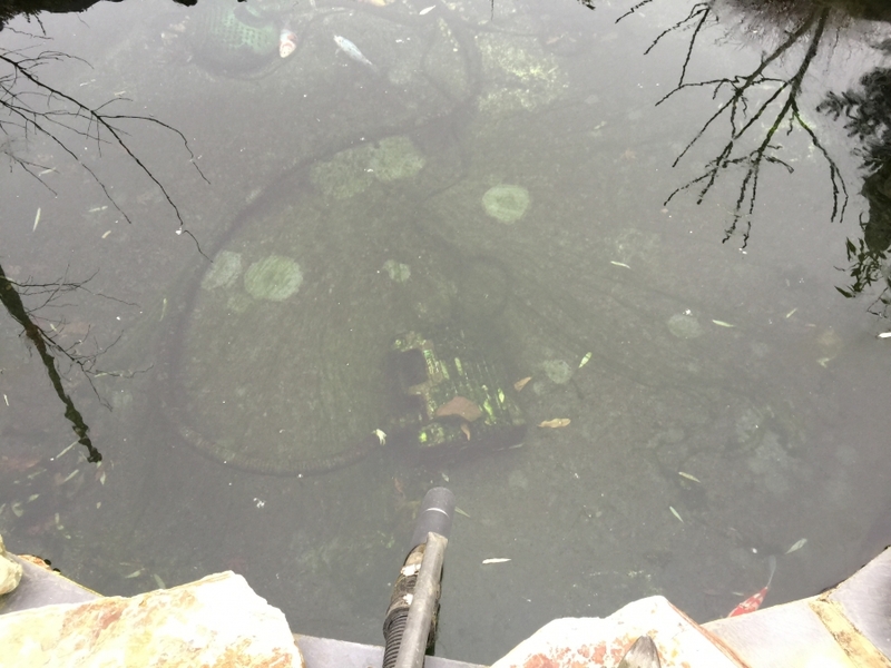 Pond clean in Broxbourne, Hertfordshire.