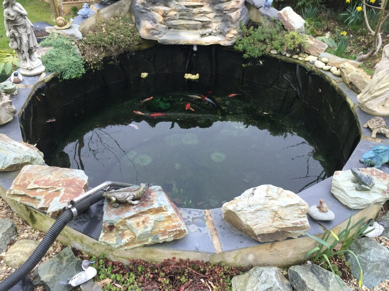 Pond clean in Broxbourne, Hertfordshire.