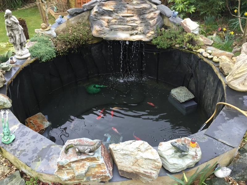 Pond clean in Broxbourne, Hertfordshire.