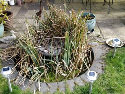 Small fountain clean in Cherry Hinton, Cambridge.