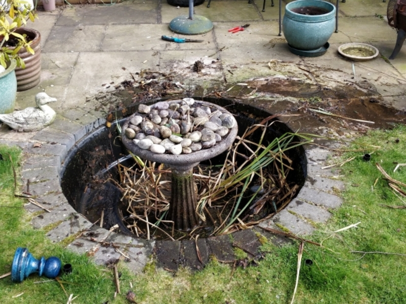 Small fountain clean in Cherry Hinton, Cambridge.