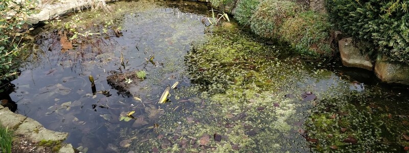 Pond clean, Bridge repair and aeration installation in Bury St Edmunds, Suffolk.