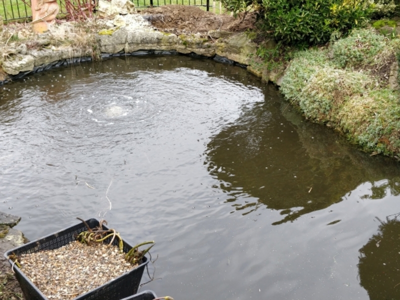 Pond clean, Bridge repair and aeration installation in Bury St Edmunds, Suffolk.