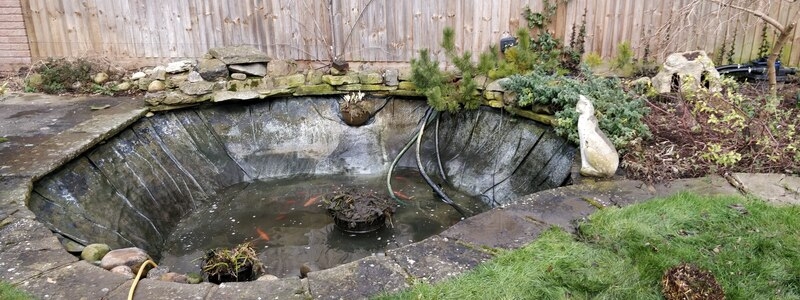 Pond clean in Madingley, Cambridgeshire