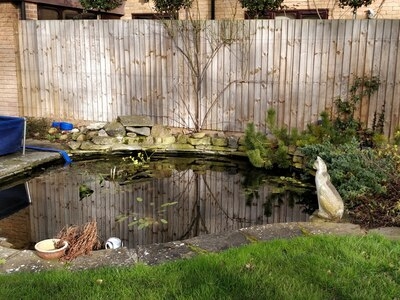 Pond clean in Madingley, Cambridgeshire