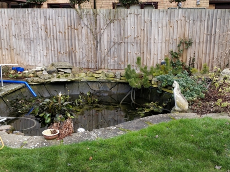 Pond clean in Madingley, Cambridgeshire