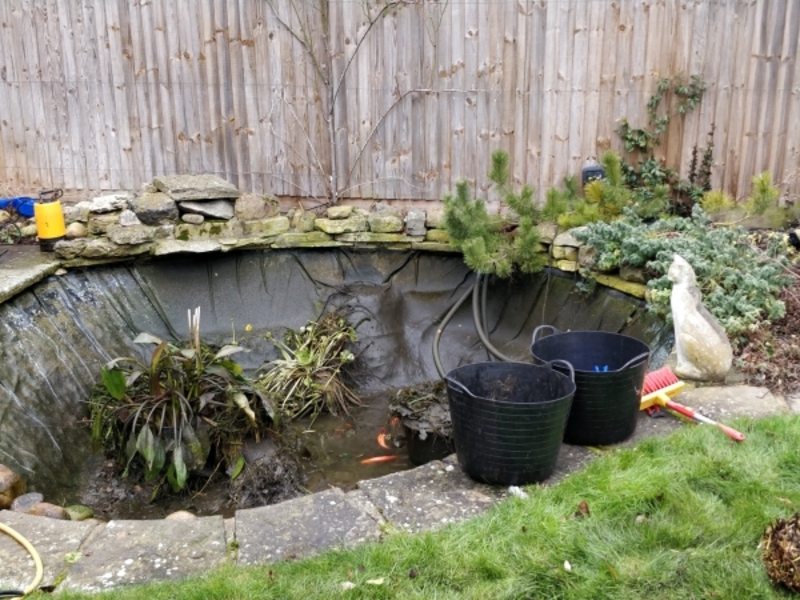 Pond clean in Madingley, Cambridgeshire