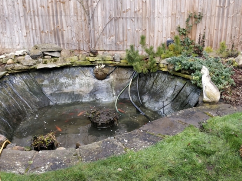 Pond clean in Madingley, Cambridgeshire