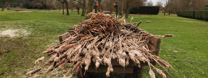 London Pond management Dyrham Park Golf Course in Barnet London Pond management Dyrham Park Golf Course in Barnet