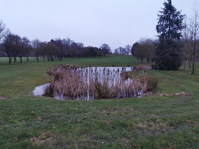 London Pond management Dyrham Park Golf Course in Barnet