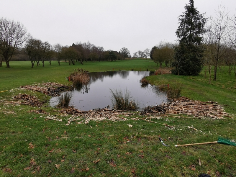 London Pond management Dyrham Park Golf Course in Barnet