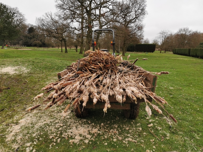 London Pond management Dyrham Park Golf Course in Barnet