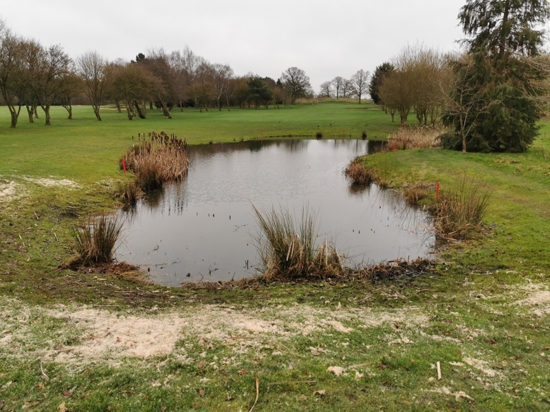 London Pond management Dyrham Park Golf Course in Barnet