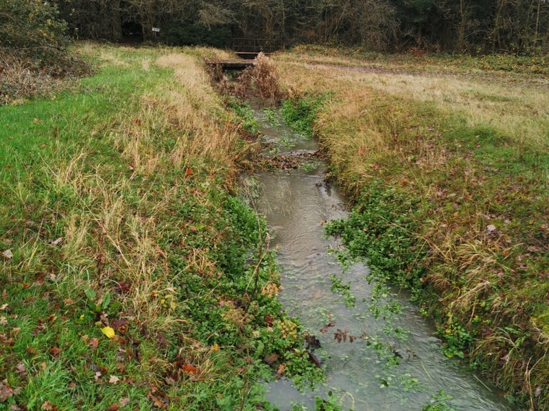 Dryham Park Golf Course in Barnet, London Pond management 2