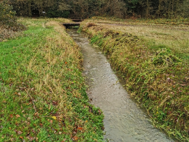 Dryham Park Golf Course in Barnet, London Pond management 2