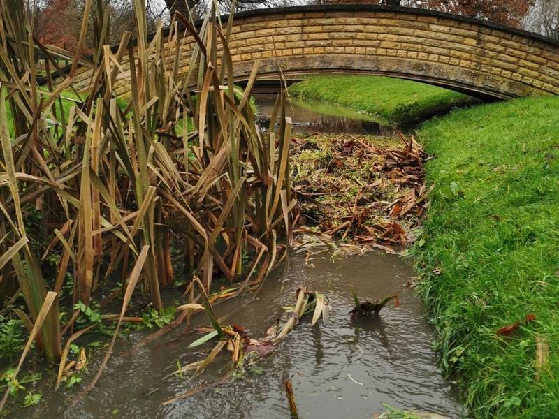 Dryham Park Golf Course in Barnet, London Pond management 2