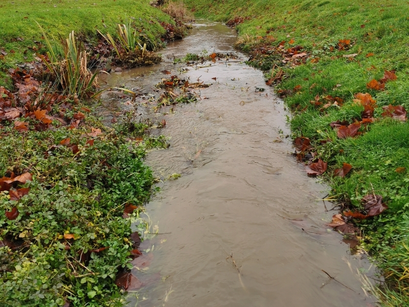 Dryham Park Golf Course in Barnet, London Pond management 2