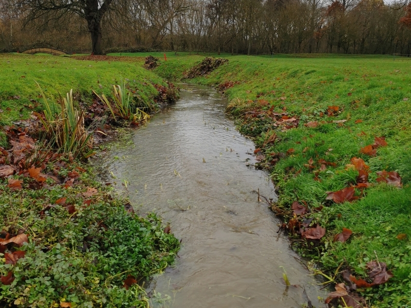 Dryham Park Golf Course in Barnet, London Pond management 2