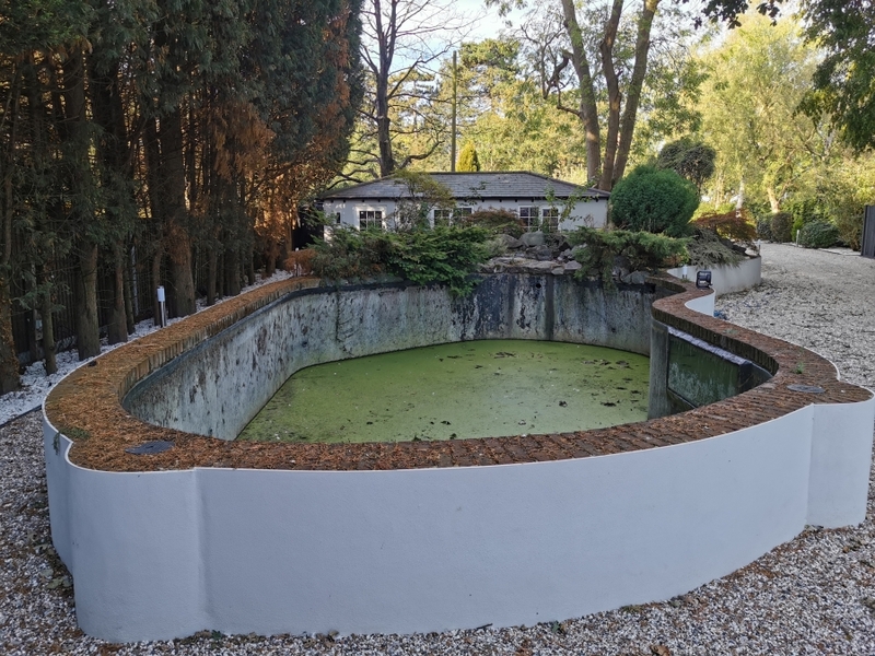 Pond and waterfall cleaning in Brentwood, Essex