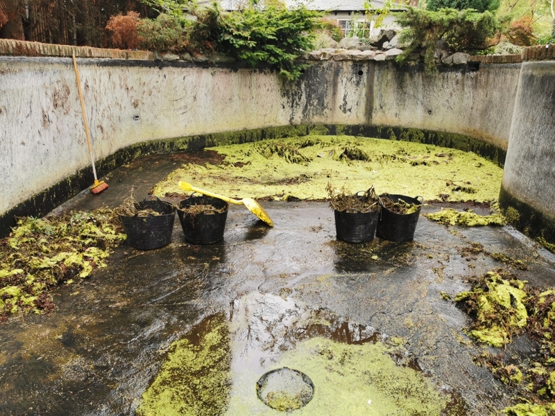 Pond and waterfall cleaning in Brentwood, Essex