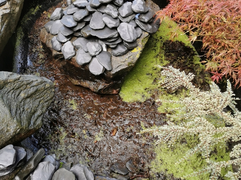 Pond and waterfall cleaning in Brentwood, Essex