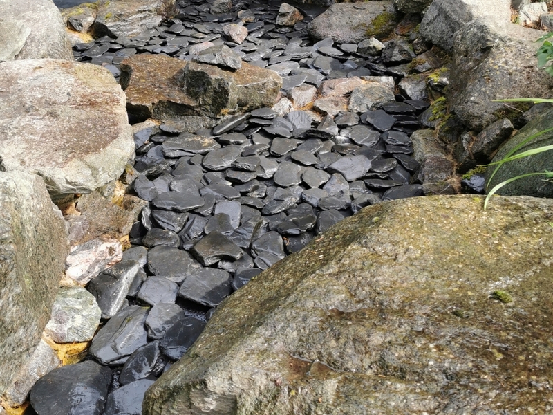 Pond and waterfall cleaning in Brentwood, Essex