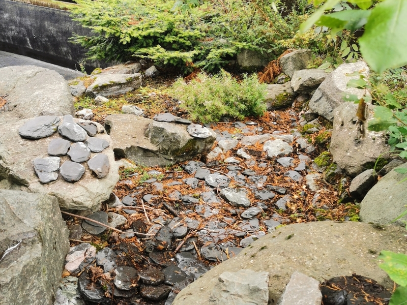 Pond and waterfall cleaning in Brentwood, Essex