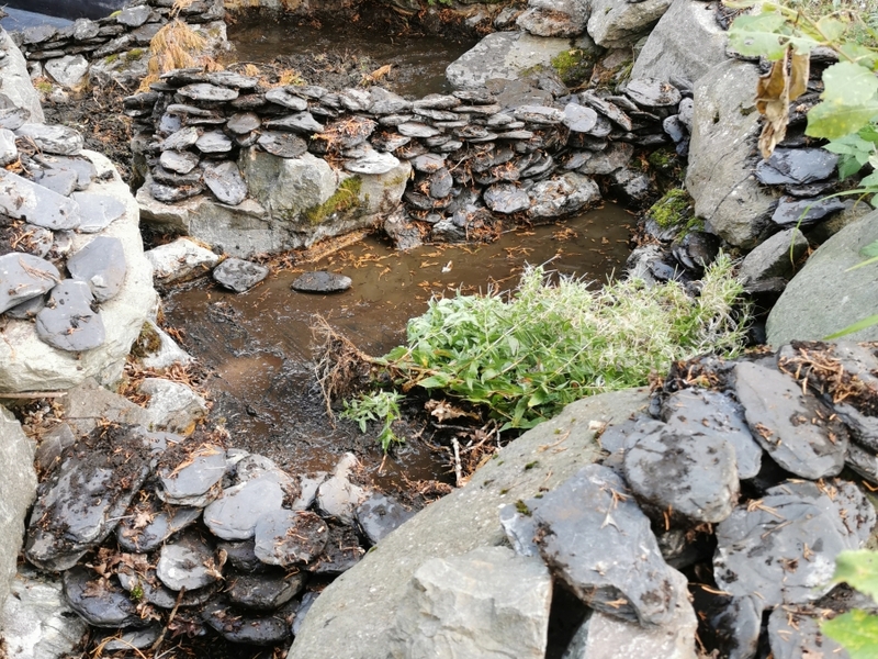 Pond and waterfall cleaning in Brentwood, Essex