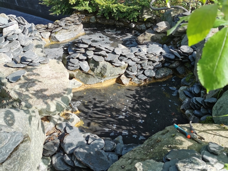 Pond and waterfall cleaning in Brentwood, Essex